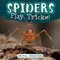 Spiders Play Tricks! by Meghan Green, 9781538293607