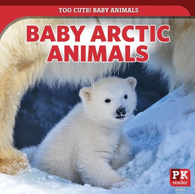 Baby Arctic Animals by Rachael Morlock, 9781499445107
