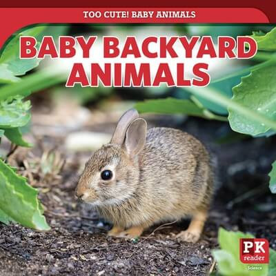 Baby Backyard Animals - 9781499445138 by Rachael Morlock, 9781499445138