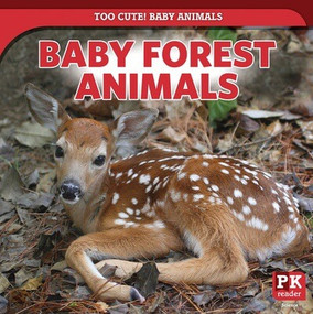 Baby Forest Animals - 9781499445220 by Rachael Morlock, 9781499445220
