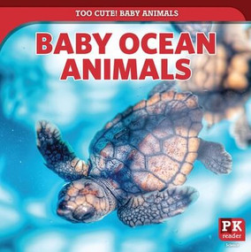 Baby Ocean Animals by Rachael Morlock, 9781499445251