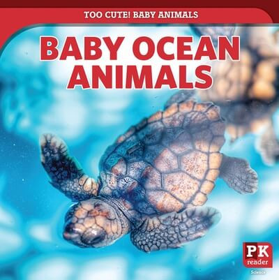 Baby Ocean Animals by Rachael Morlock, 9781499445251