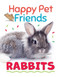 Rabbits - 9781499446036 by Izzi Howell, 9781499446036