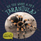 Do You Want a Pet Tarantula? - 9781978540873 by Louis Mallory, 9781978540873