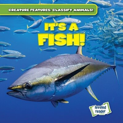 It's a Fish! by Natalie Humphrey, 9781482466836