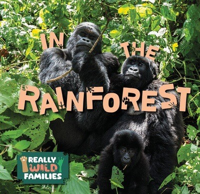 In the Rainforest - 9781978540965 by E.C. Andrews, 9781978540965