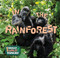 In the Rainforest - 9781978540965 by E.C. Andrews, 9781978540965