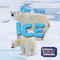 On the Ice by E.C. Andrews, 9781978540989
