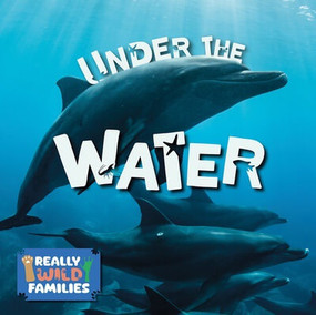 Under the Water - 9781978541054 by E.C. Andrews, 9781978541054