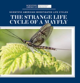 The Strange Life Cycle of a Mayfly - 9781725350915 by Anna McDougal, 9781725350915