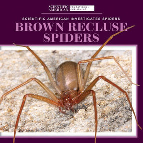 Brown Recluse Spiders - 9781725351219 by Roxanne Aldolpho, 9781725351219
