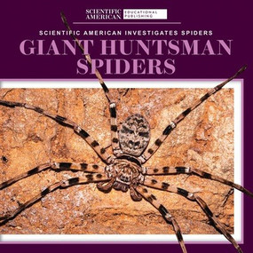 Giant Huntsman Spiders - 9781725351264 by Roxanne Aldolpho, 9781725351264