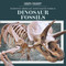 Dinosaur Fossils - 9781725351950 by Natalie Humphrey, 9781725351950