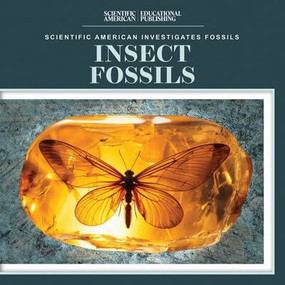 Insect Fossils - 9781725352025 by Natalie Humphrey, 9781725352025