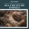 Sea Creature Fossils - 9781725352100 by Natalie Humphrey, 9781725352100