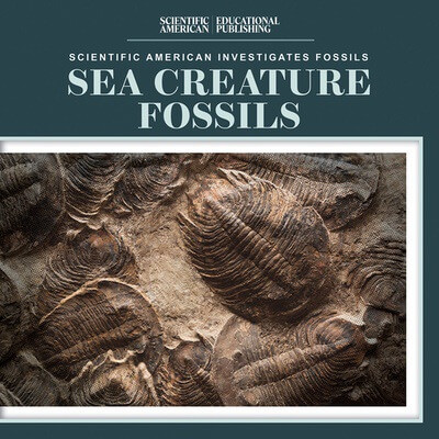Sea Creature Fossils - 9781725352117 by Natalie Humphrey, 9781725352117
