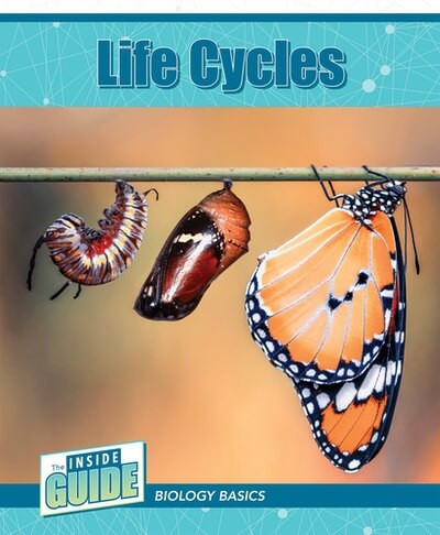 Life Cycles - 9781502673237 by Leigh McClure, 9781502673237