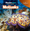 Mollusks - 9781641903561 by Kaitlyn Salvatore, 9781641903561