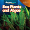 Sea Plants and Algae by Kaitlyn Salvatore, 9781641903653