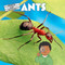 Ants - 9781684502417 by Ryan James, 9781684502417