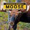 Moose - 9781684502639 by Madison Parker, 9781684502639