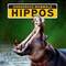 Hippos - 9781684502653 by Madison Parker, 9781684502653