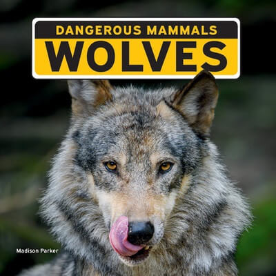 Wolves - 9781684502714 by Madison Parker, 9781684502714