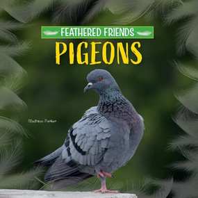 Pigeons - 9781684502837 by Madison Parker, 9781684502837