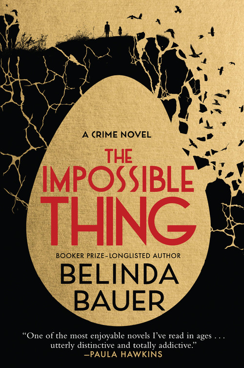 The Impossible Thing by Belinda Bauer, 9780802164414