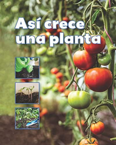 Así crece una planta by VHL, 9781543386196