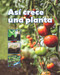 Así crece una planta by VHL, 9781543386196