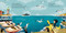 God's Little Oceanographer by Tina Cho, Marta Álvarez Miguéns, 9780593579435