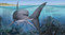 Great White Shark (Read and Wonder) - 9781536240887 by Claire Saxby, Cindy Lane