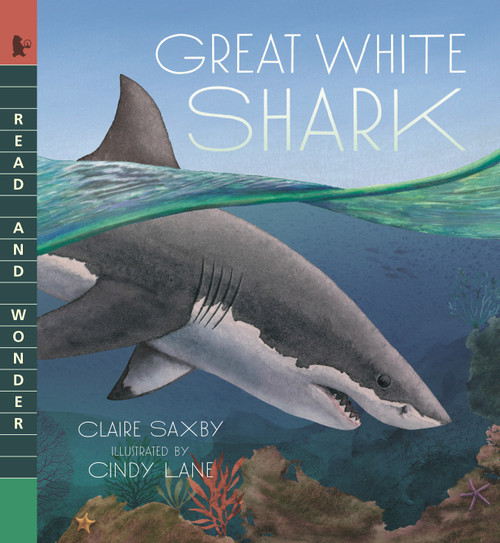 Great White Shark (Read and Wonder) - 9781536240887 by Claire Saxby, Cindy Lane, 9781536240887
