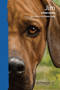 Jim (Spanish Edition) by Sergio Gómez, 9786070739217