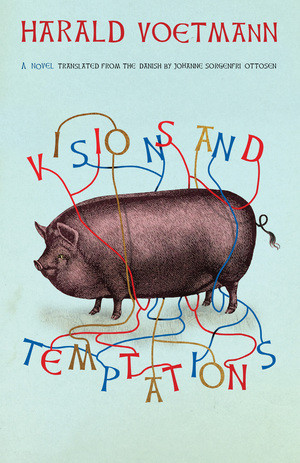 Visions and Temptations by Harald Voetmann, Johanne Sorgenfri Ottosen, 9780811229807