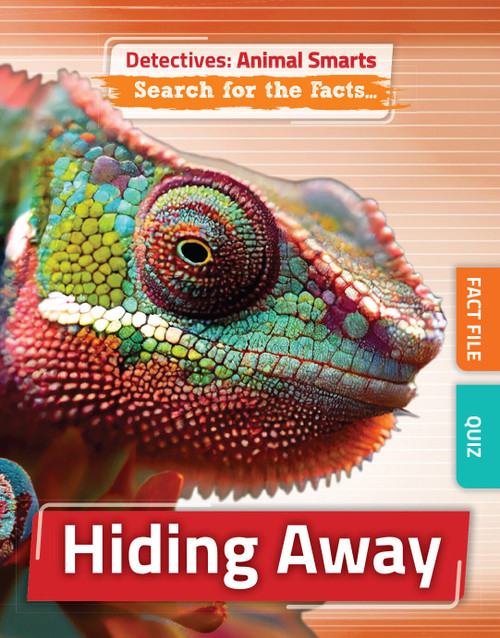 Hiding Away by Anne O'Daly, 9781835720318