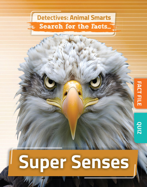Super Senses by Anne O'Daly, 9781835720332
