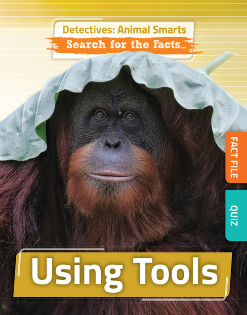Using Tools by Anne O'Daly, 9781835720349