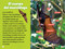 National Geographic Readers: Los Murciélagos (Spanish Edition) - 9781426378270 by Elizabeth Carney