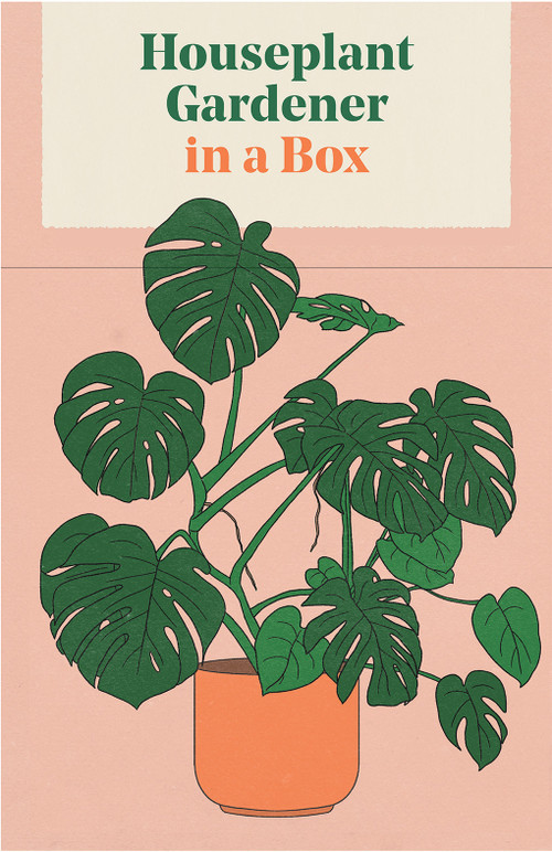 Houseplant Gardener in a Box (How to Care for Indoor Plants) by Jane Perrone, Cody Bond, 9781837760169