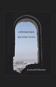 A Message Back and Other Furors by Leonard Schwartz, 9780925904799