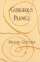 Gorgeous Plunge by Michael Gottlieb, 9780937804803