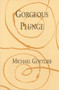 Gorgeous Plunge by Michael Gottlieb, 9780937804803
