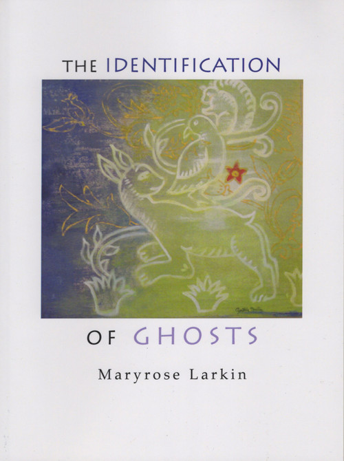 The Identification of Ghosts by Maryrose Larkin, 9780989431644