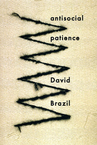 antisocial patience by David Brazil, 9781931824613