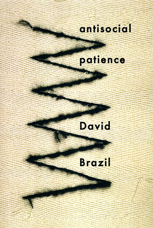 antisocial patience by David Brazil, 9781931824613