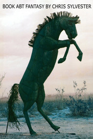 Book Abt Fantasy by Chris Sylvester, 9781931824682