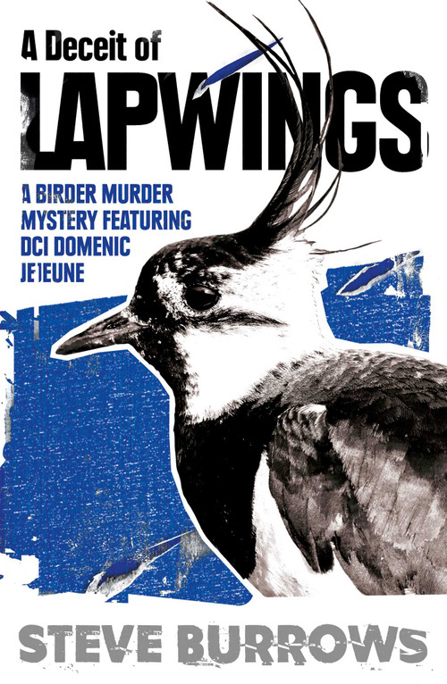 A Deceit of Lapwings by Steve Burrows, 9780861541799