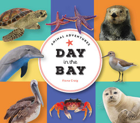 Animal Adventures: Day in the Bay by Fiona Craig, 9781685551469